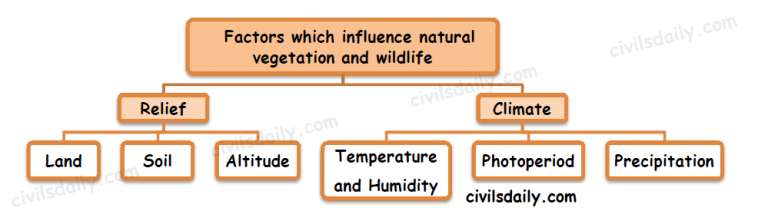 natural-vegetation-and-wildlife-part-1-an-overview-of-natural